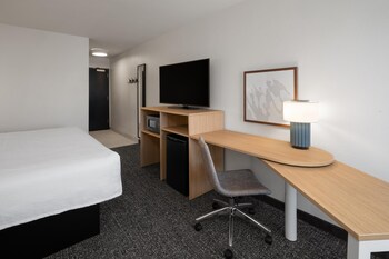 Room, 1 King Bed with Sofa bed