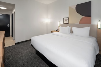 Room, 1 King Bed