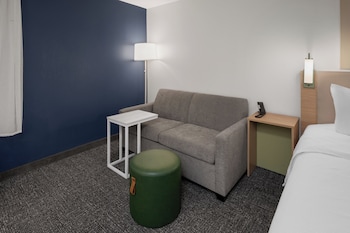Room, 1 King Bed with Sofa bed