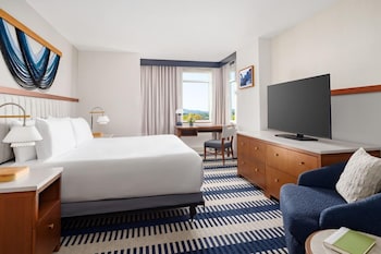 Standard Suite, 1 King Bed with Sofa bed