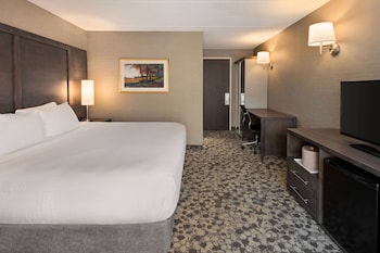 Deluxe Room, 1 King Bed, Non Smoking