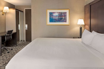 Room, 1 King Bed, Non Smoking