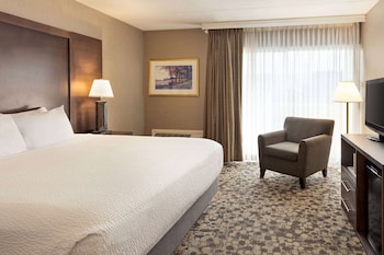Room, 1 King Bed, Non Smoking