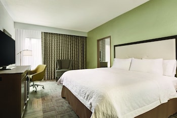Family Room, 1 King Bed