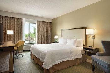 Room, 1 King Bed, Accessible, Non Smoking