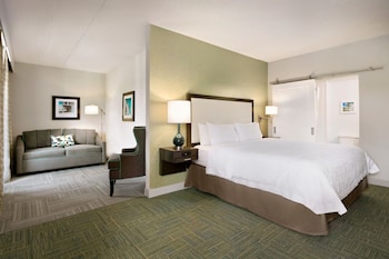 Suite, 1 King Bed, Non Smoking (Mini Suite)