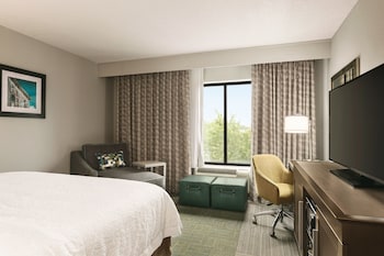 Room, 1 King Bed, Non Smoking