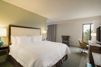 Suite, 1 King Bed, Non Smoking (Mini Suite)