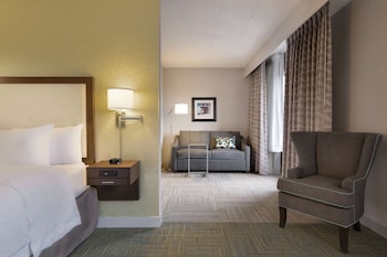 Suite, 1 King Bed, Non Smoking (Mini Suite)
