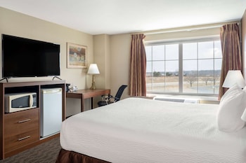 Suite, 1 Bedroom, Non Smoking