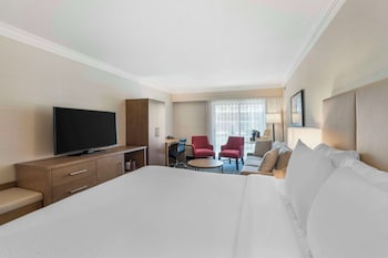 Standard Room, 1 King Bed, Balcony, Courtyard View (with Sofabed)