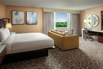 Junior Suite, 1 King Bed, Accessible, Non Smoking