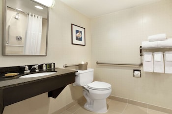 Room, 1 King Bed, Accessible (Roll-In Shower)