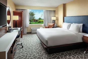 Room, 1 King Bed, Accessible (Roll-In Shower)