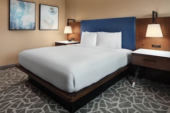Room, 1 King Bed, Accessible (Roll-In Shower)