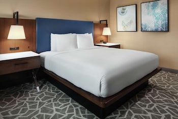 Room, 1 King Bed, Accessible (Roll-In Shower)
