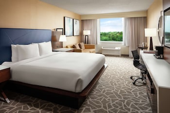 Deluxe Room, 1 King Bed, Non Smoking