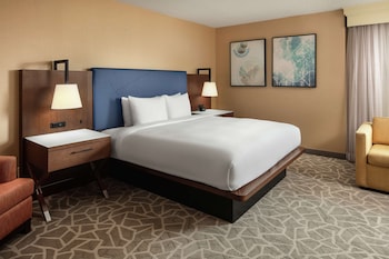 Junior Suite, 1 King Bed, Accessible, Non Smoking