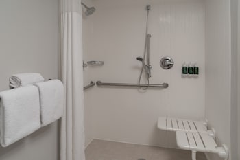 Room, 1 King Bed, Accessible (Mobility/Hearing Roll In Shower)