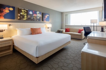Room, 1 King Bed with Sofa bed
