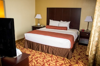 Standard Room, 1 King Bed, Accessible, Bathtub