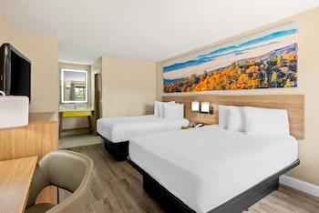 Standard Double Room, Non Smoking