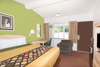 Room, 1 King Bed