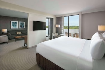 Suite, 1 King Bed with Sofa bed