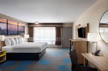 Suite, 1 Bedroom, Non Smoking