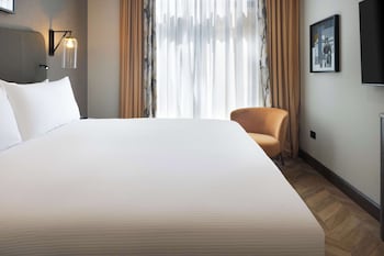 Suite, 1 King Bed