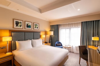 Room, 1 Queen Bed