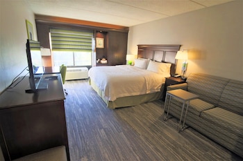 Room, 1 King Bed with Sofa bed, Non Smoking (Study)