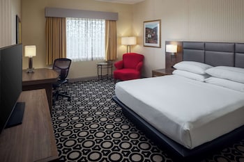 Room, 1 King Bed, Accessible