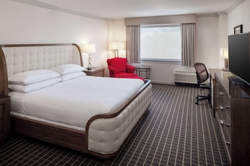 Suite, 1 King Bed