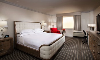 Suite, 1 King Bed