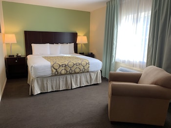 Studio Suite, 1 King Bed, Non Smoking
