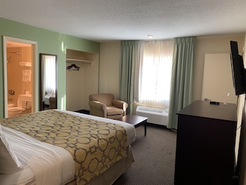 Deluxe Suite, 1 Bedroom, Non Smoking
