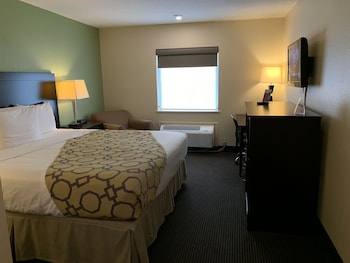 Room, 1 King Bed, Accessible, Non Smoking (Mobility Accessible)