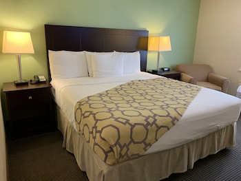 Room, 1 King Bed, Accessible, Non Smoking (Mobility Accessible)