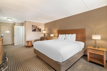 Standard Room, 1 King Bed, Non Smoking, Refrigerator & Microwave