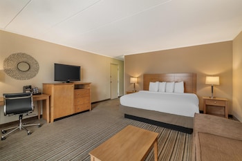 Standard Room, 1 King Bed, Non Smoking, Balcony (with Sofabed)
