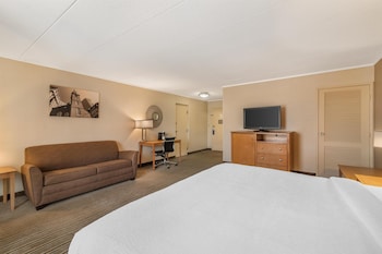 Standard Room, 1 King Bed, Non Smoking, Refrigerator & Microwave (with Sofabed)