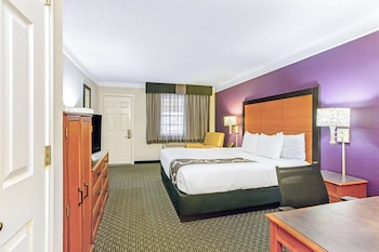 Room, 1 King Bed