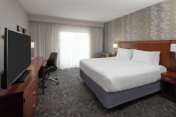 Room, 1 King Bed with Sofa bed, Hearing Accessible