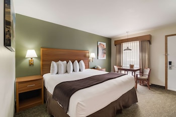 Standard Room, 1 King Bed, Non Smoking