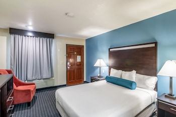 Room, 1 King Bed