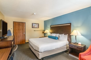 Room, 1 King Bed, Mobility Accessible