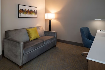 Studio, 1 King Bed, Accessible (Hearing)