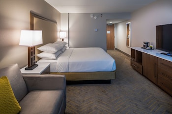 Room, 1 King Bed with Sofa bed, Accessible (Hearing)