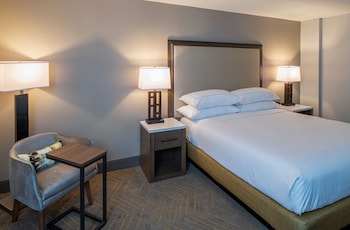 Room, 1 King Bed